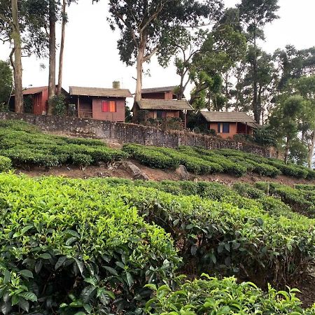 Holacasa Cottages Munnar Buitenkant foto