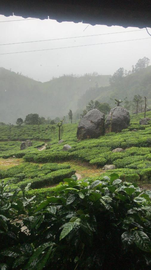 Holacasa Cottages Munnar Buitenkant foto