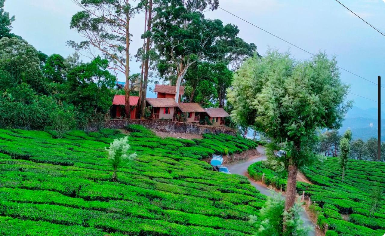 Holacasa Cottages Munnar Buitenkant foto