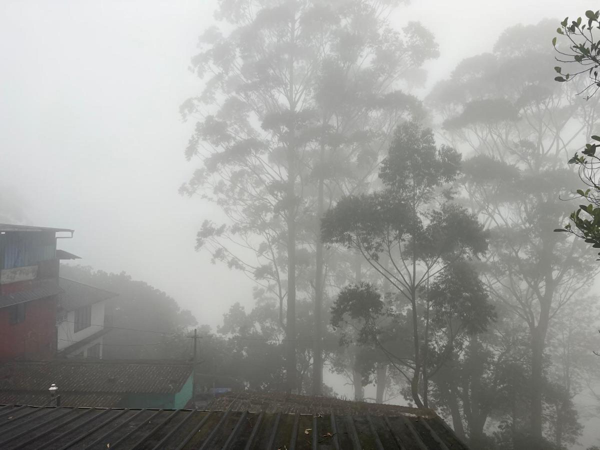 Holacasa Cottages Munnar Buitenkant foto